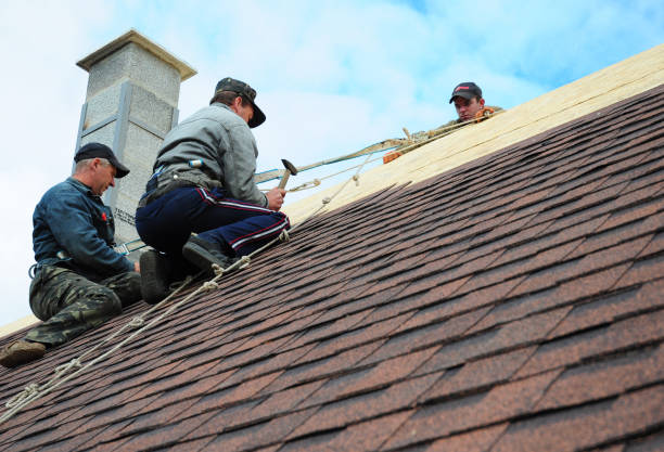 Quick and Trustworthy Emergency Roof Repair Services in Shelley, ID
